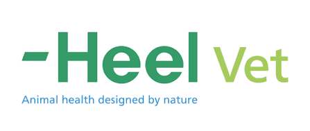 Heel vet