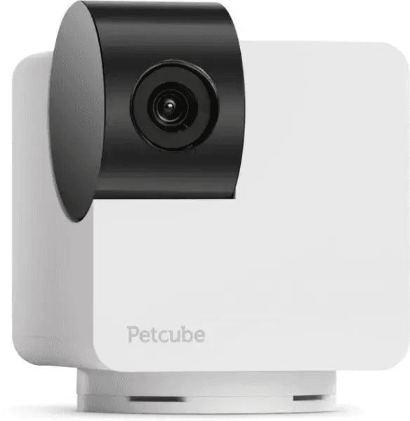 Petcube Cam 360