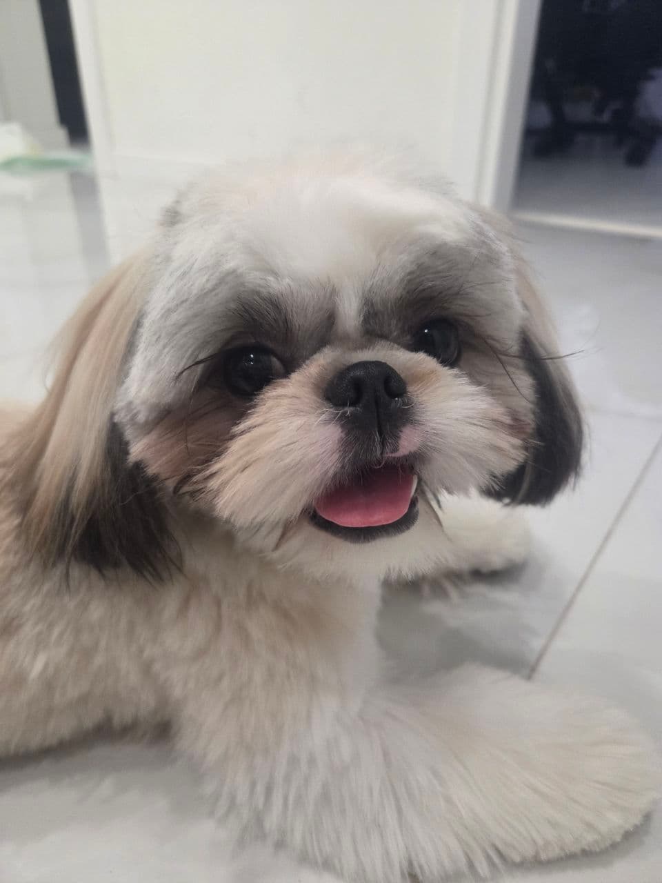 Jerry