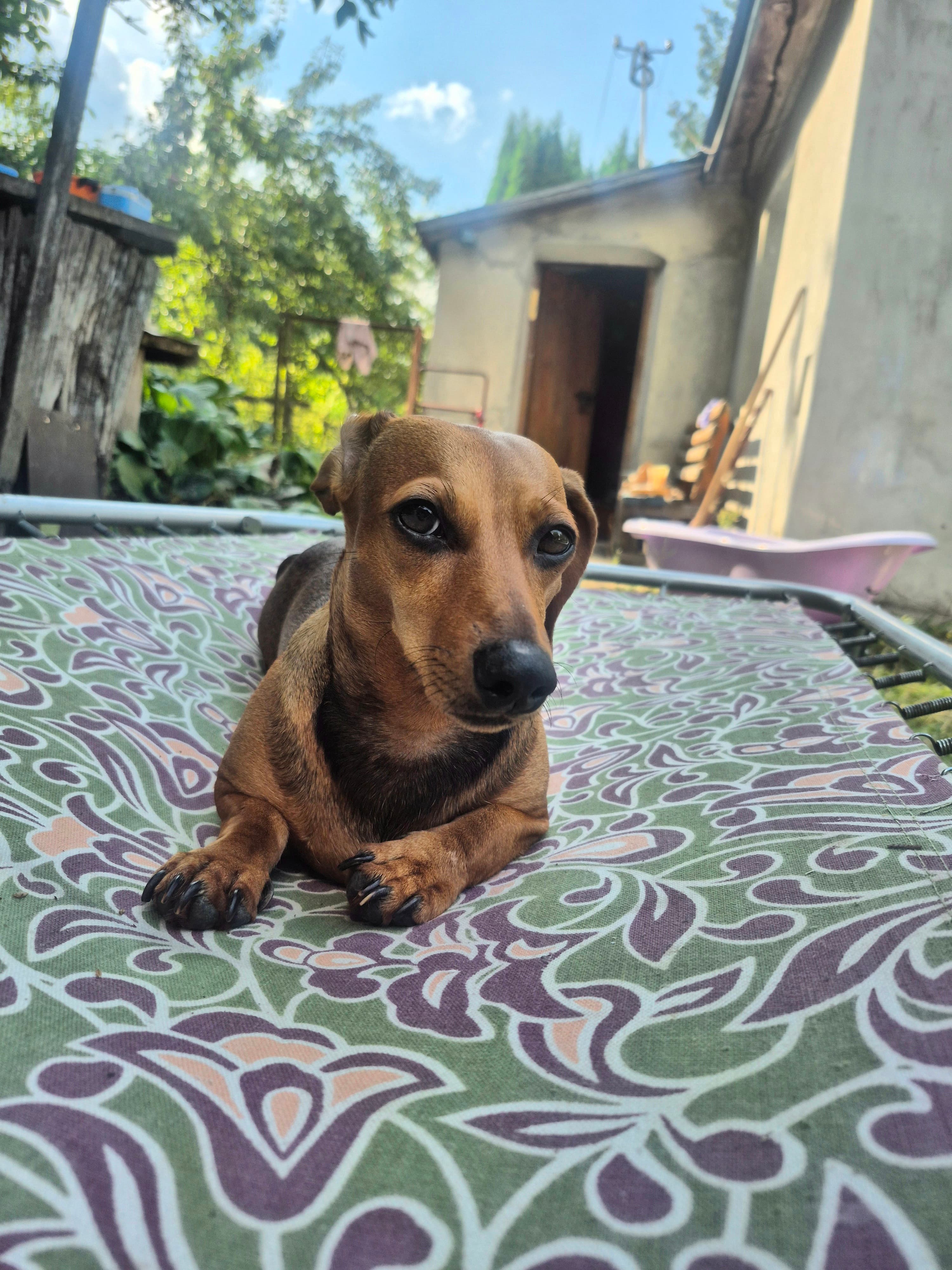 Нора