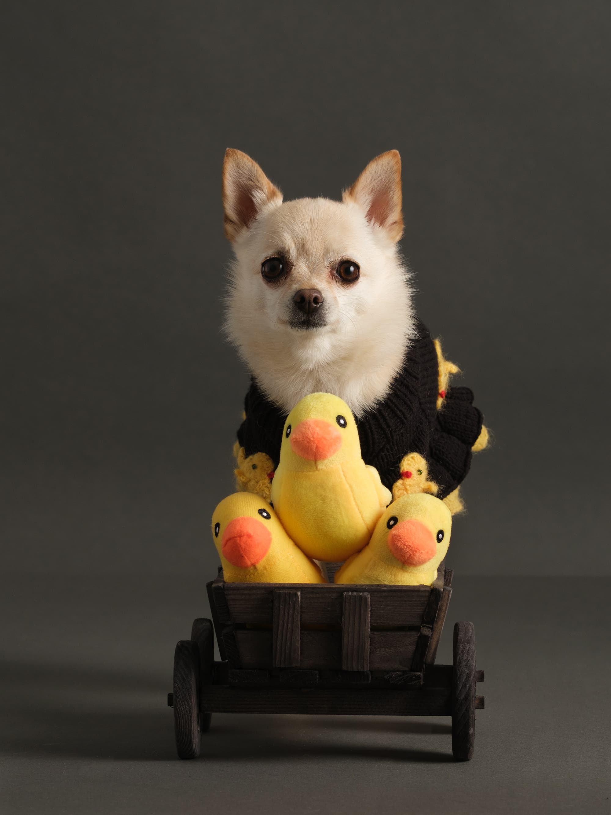 Еля (Lady Galadriel)