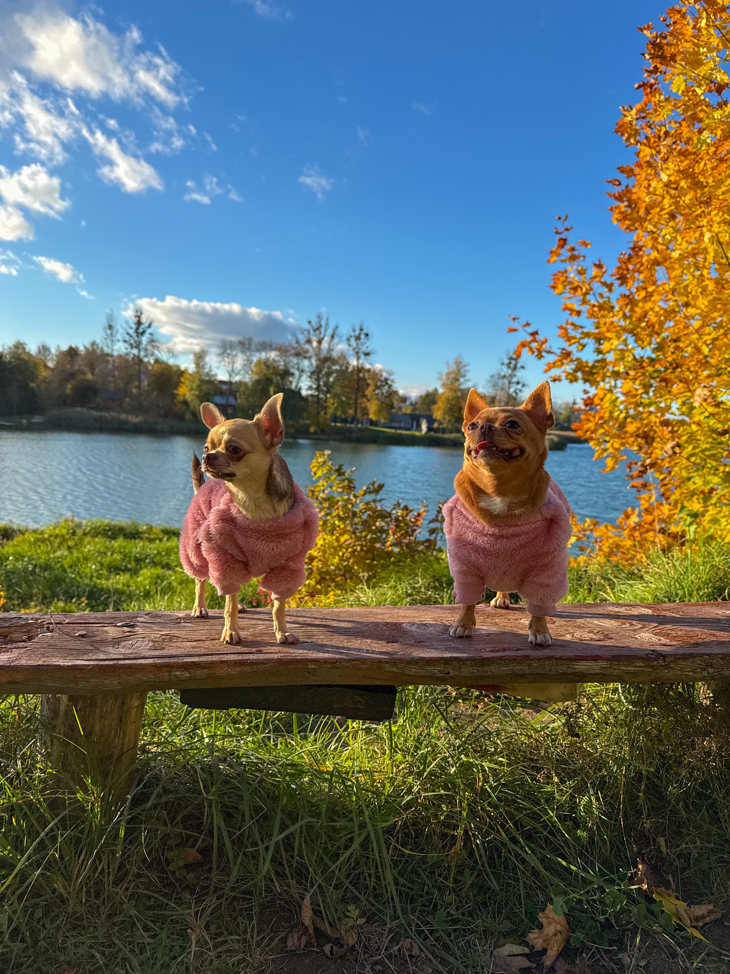 Лола і Пеппі