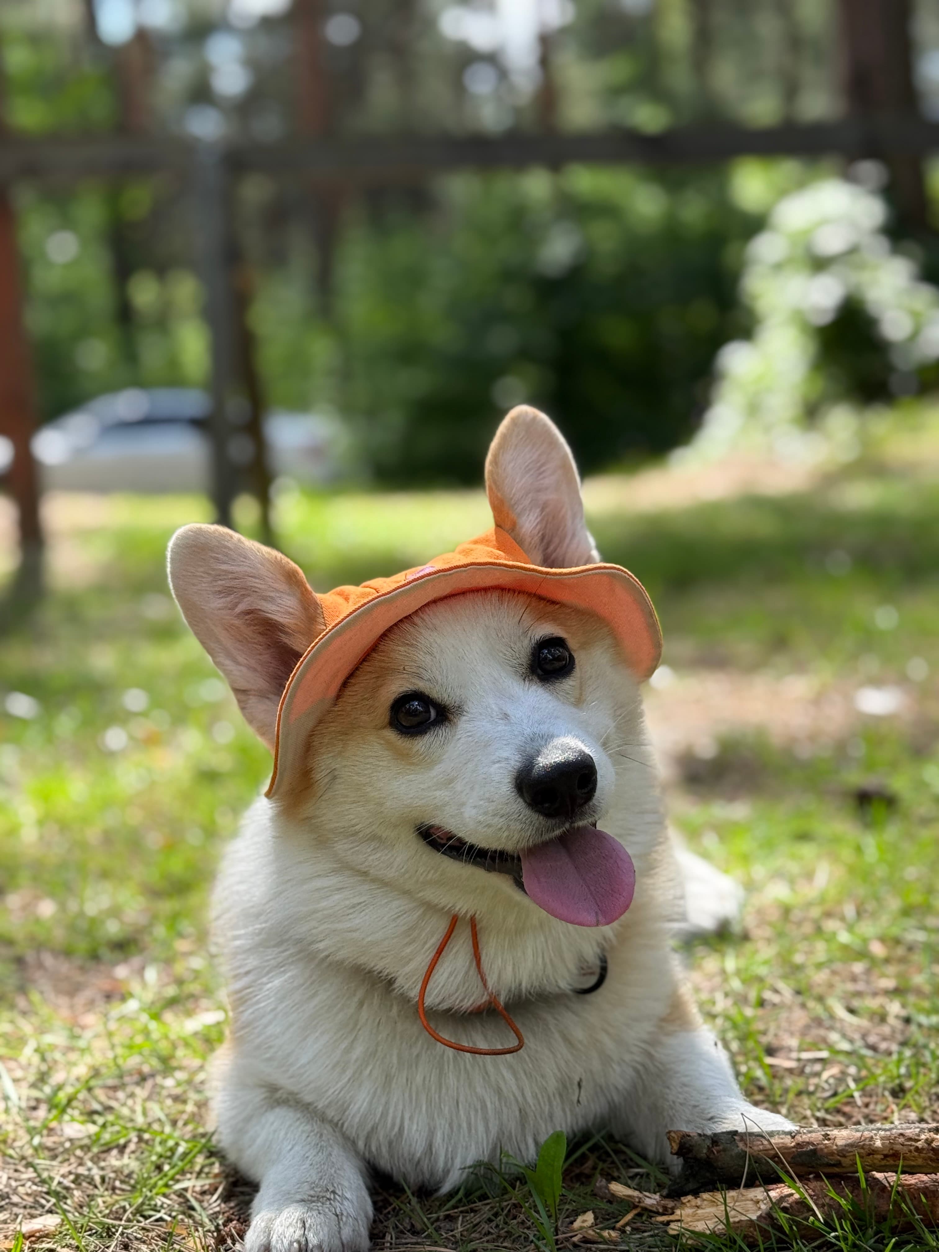 Бруно