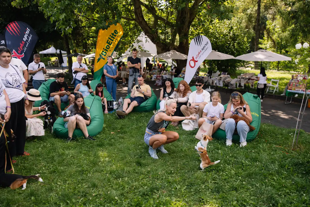 Хвостик Фест 2025 - фото 7